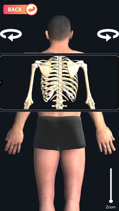 X-ray Body Scanner Game Screenshot