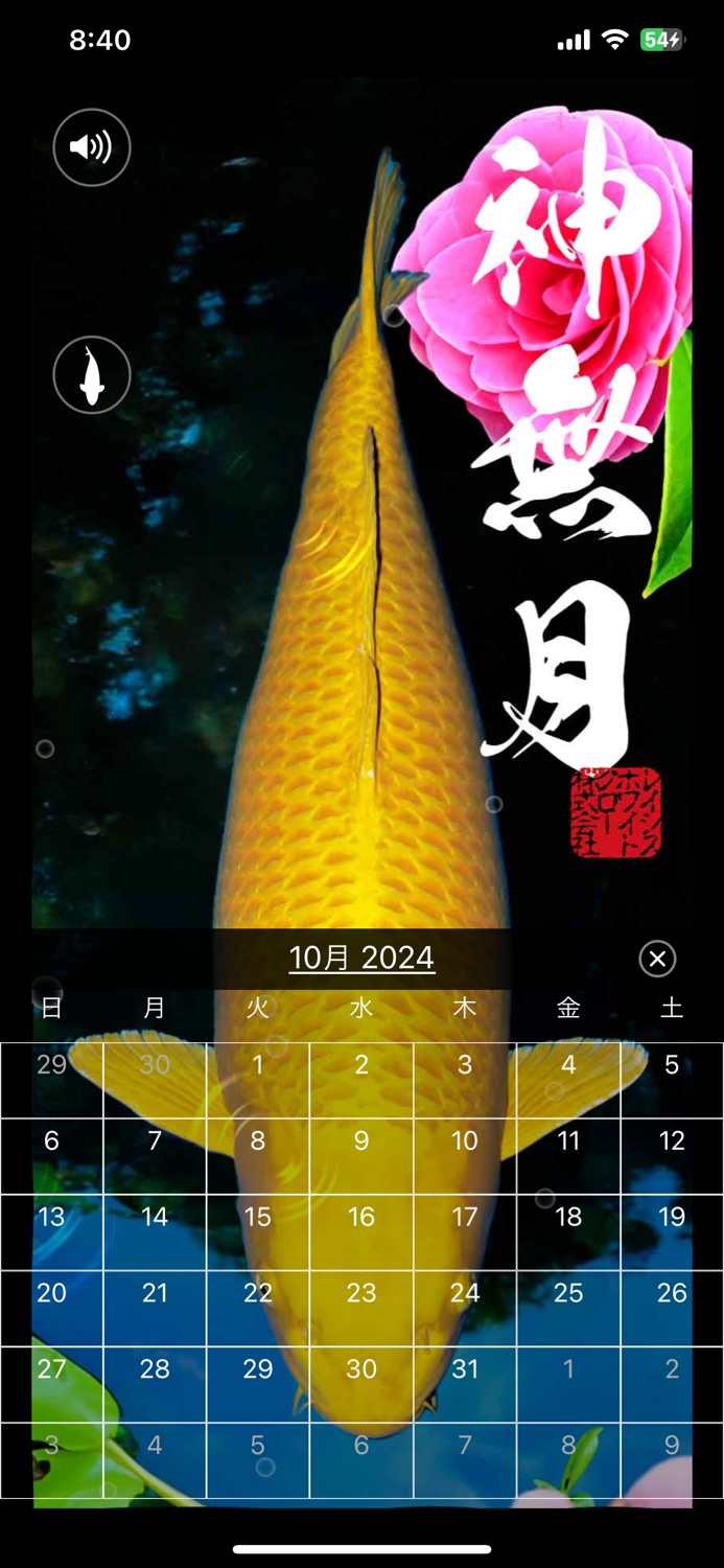 錦鯉四季暦　～にしきごいしきごよみ～