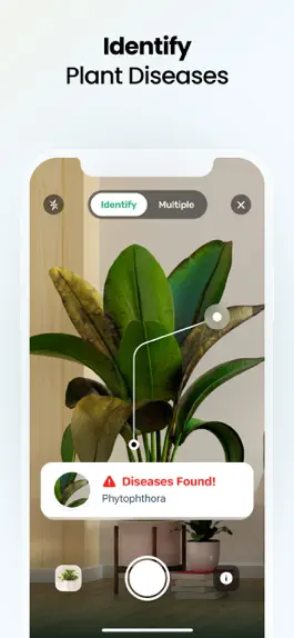 Game screenshot Plant App: Plant Identifier hack