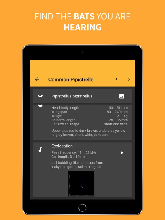 Screenshot #5 pour BatLib