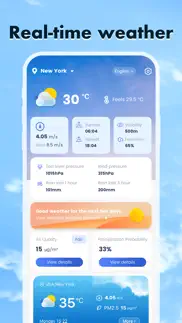sunny weather mini iphone screenshot 1