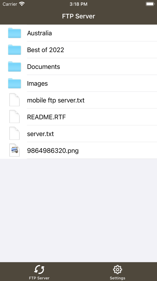 GoFTP Server - 1.0.1 - (iOS)