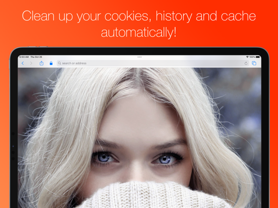Screenshot #4 pour Secret Browser