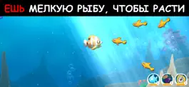 Game screenshot Hungry Ocean: Feed & Grow Fish mod apk
