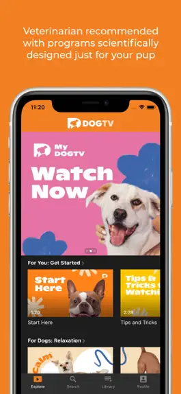Game screenshot DOGTV apk