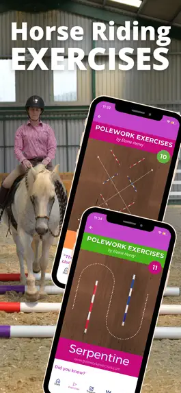 Game screenshot Polework Horse Riding Training mod apk