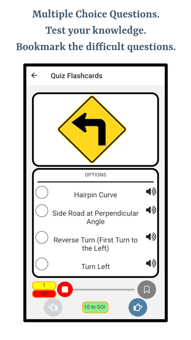 Driving Road Signs Screenshot