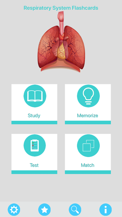 Screenshot #1 pour Respiratory System Flashcards