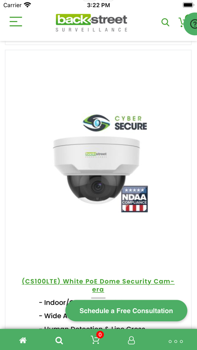 Backstreet Surveillance Screenshot
