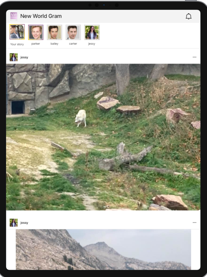 NWgram New World Gram