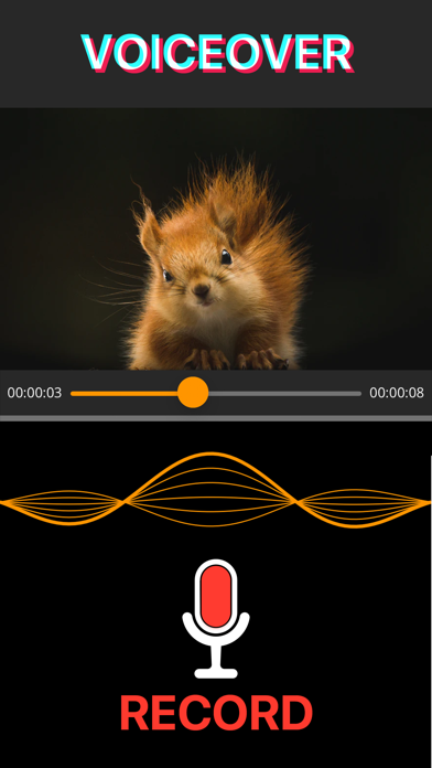 Video Voiceover & Lip Sync Screenshot