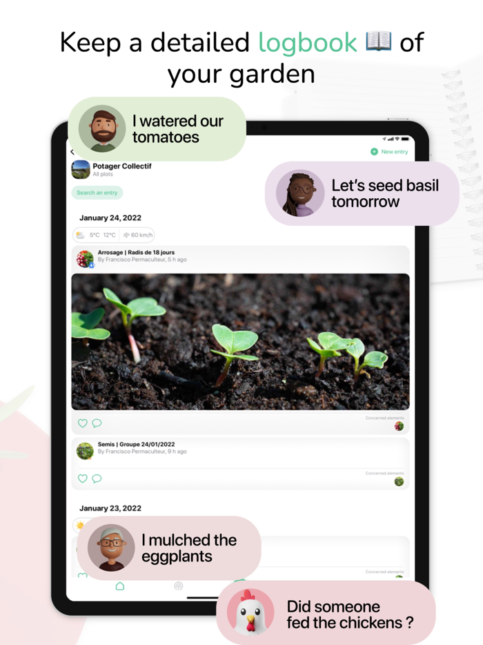 Tomate and Basilic- Permaculture