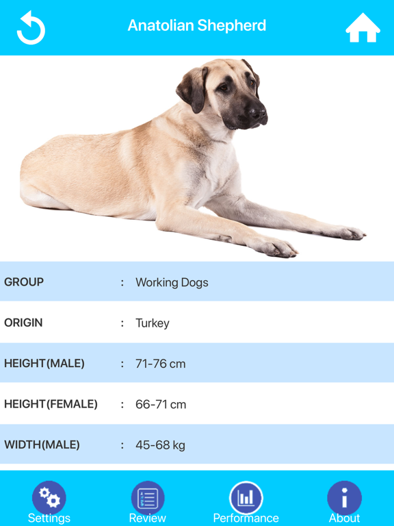Screenshot #6 pour Dog Breeds Guide & Quiz