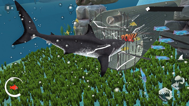 Angry Megalodon Shark Fish screenshot-4