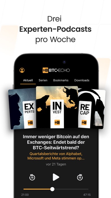 BTC-ECHO Bitcoin & Krypto News Screenshot