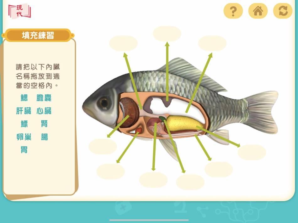 #2. 模擬解剖 (iOS) Bởi: Modern Educational Research Society, LTD