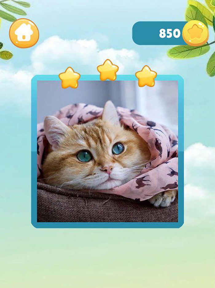 Pieces Picture - Jigsaw Puzzle