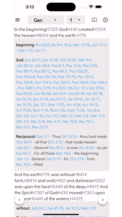 Strongs Bible Concordance Screenshot