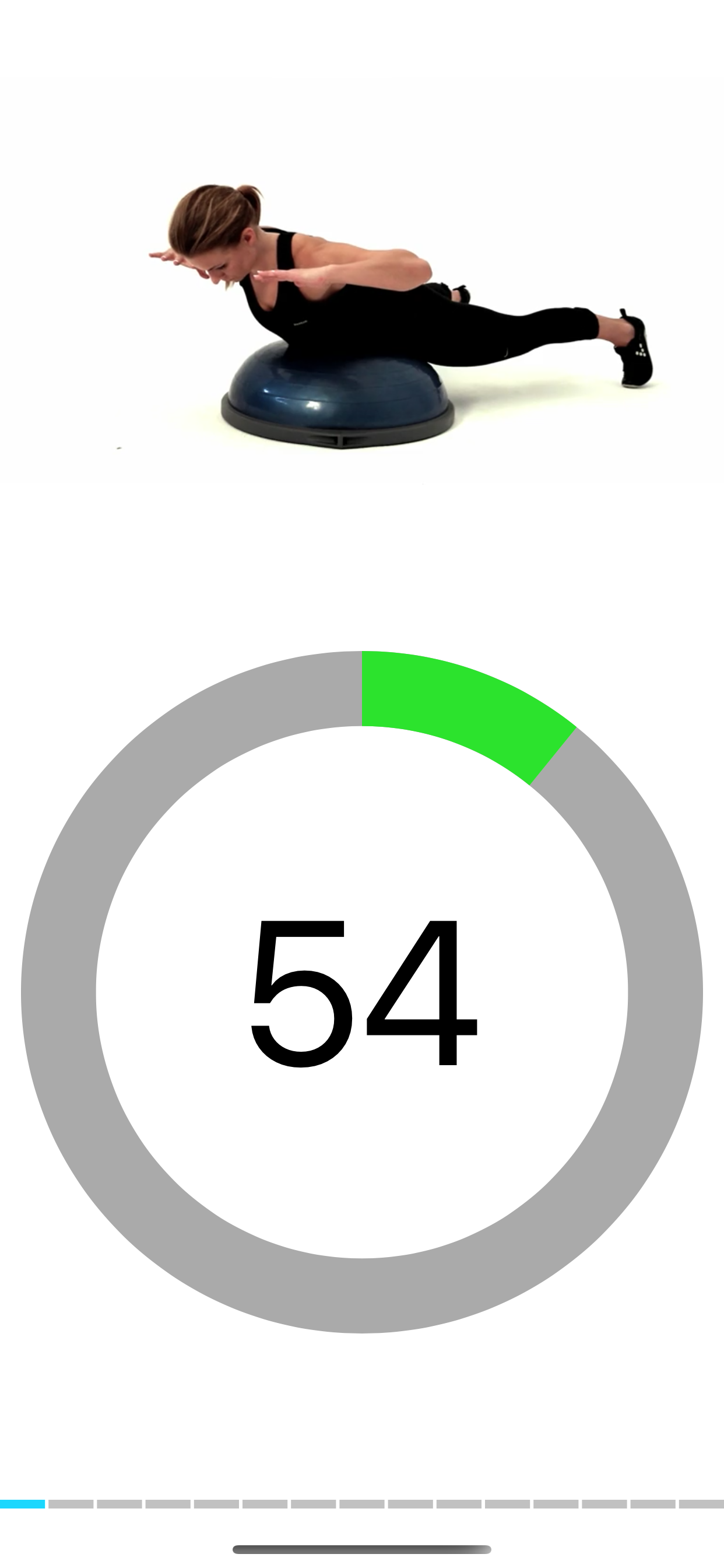 Stark Bosu Ball