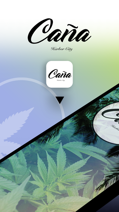 Caña - Harbor City Screenshot