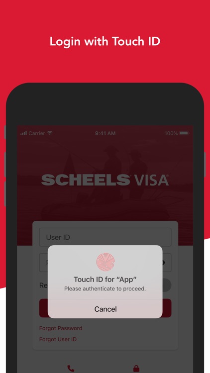 Scheels Visa Card