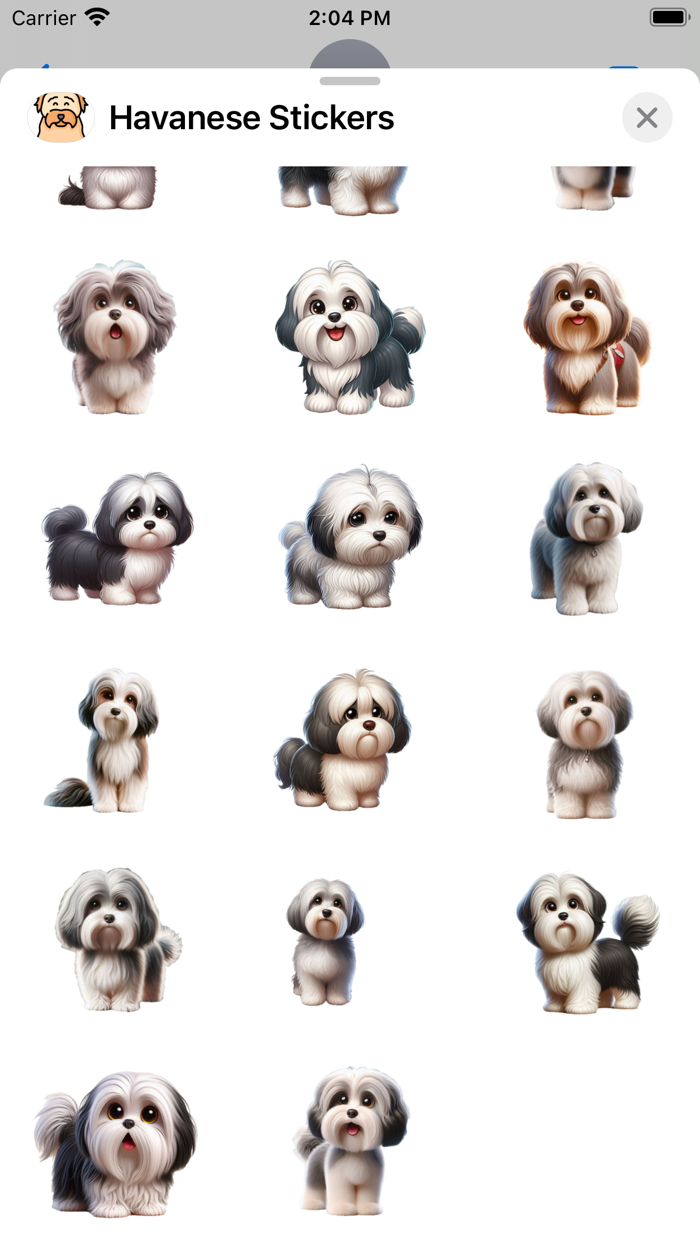 Havanese Stickers