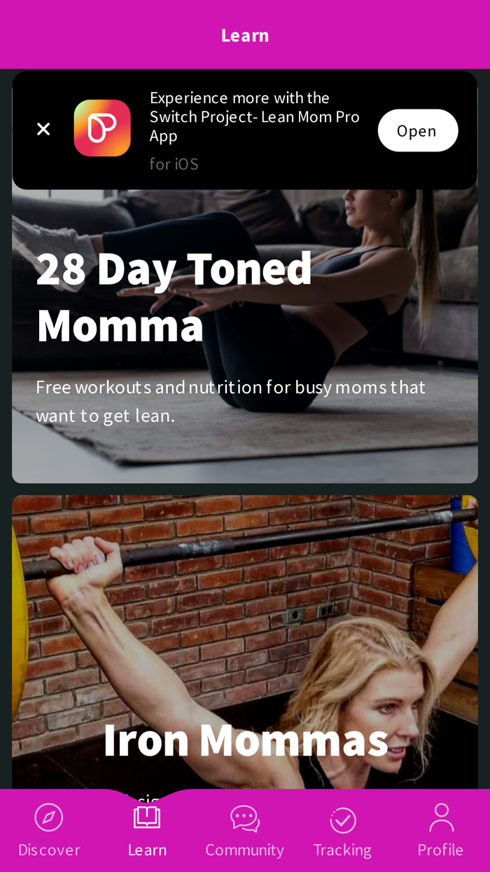 Switch Project- Lean Mom Pro