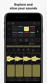 blocs wave: record music live iphone screenshot 2