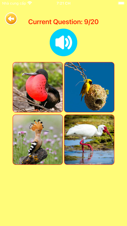 #7. Learn German Language Lite (iOS) 由: Duc Tang Van
