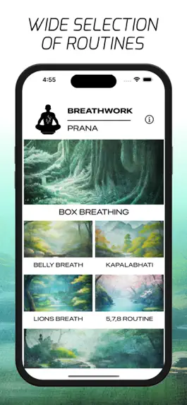 Game screenshot Breathwork Prana apk