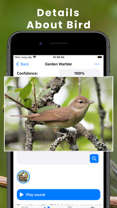 Bird Identifier by Sound ID! Screenshot