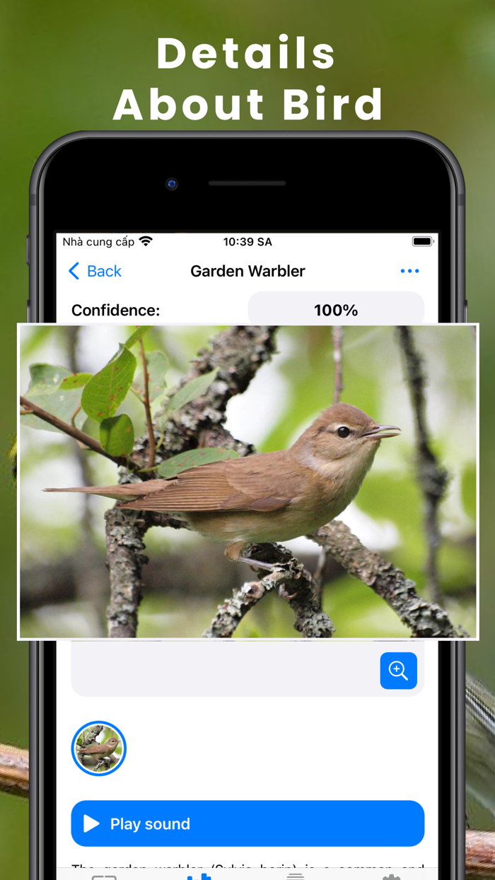 Bird Identifier by Sound ID
