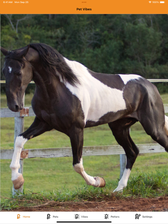 Screenshot #6 pour PetVibes