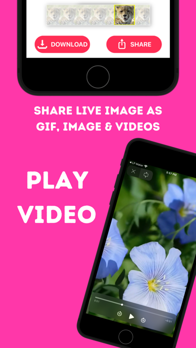 Live Photo Converter * Screenshot