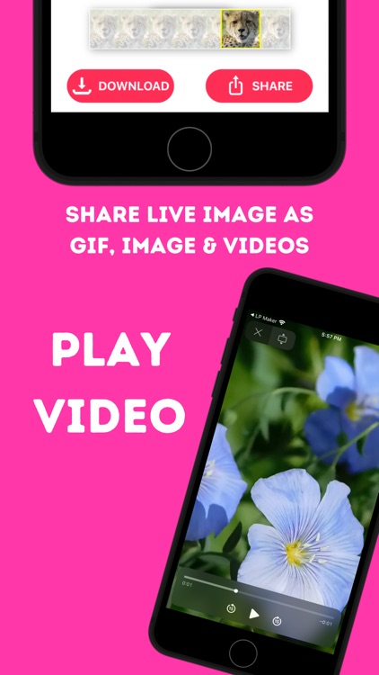 Live Photo Converter * screenshot-4