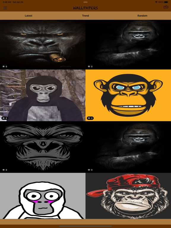 TTTpig gorilla tag wallpaper by Galaxyezz  Download on ZEDGE  ac7a