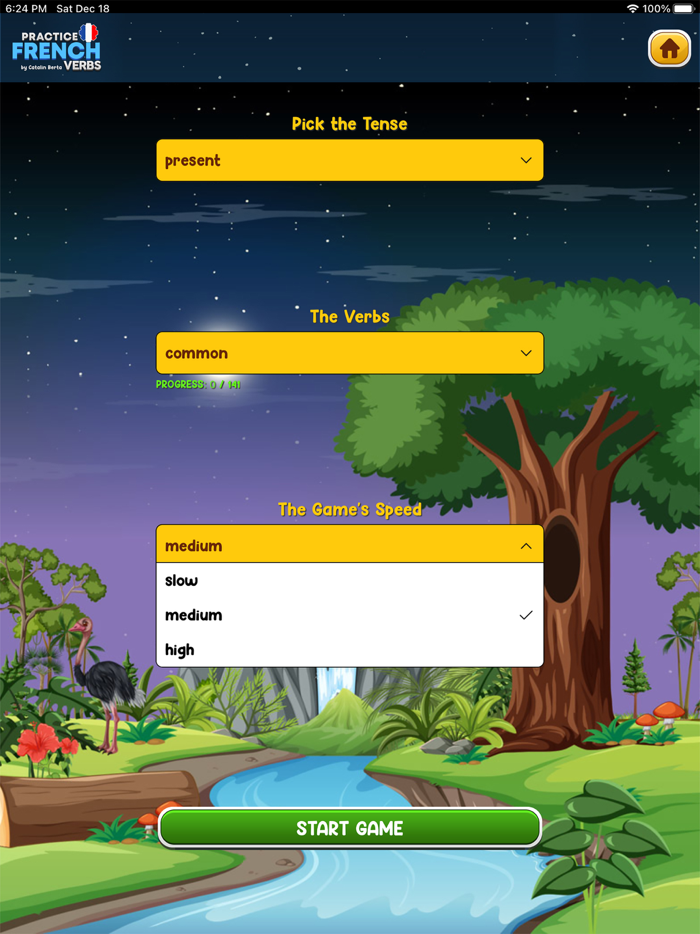 Learn French Verbs Game Extra