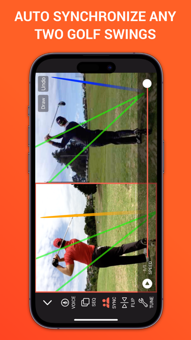 Swing Profile Golf An... screenshot1