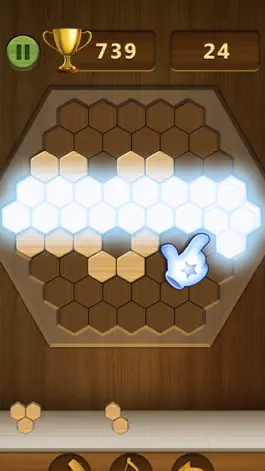 Game screenshot Wood ASMR Puzzle hack
