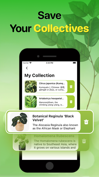 Plant Identifier And Care Tips Screenshot