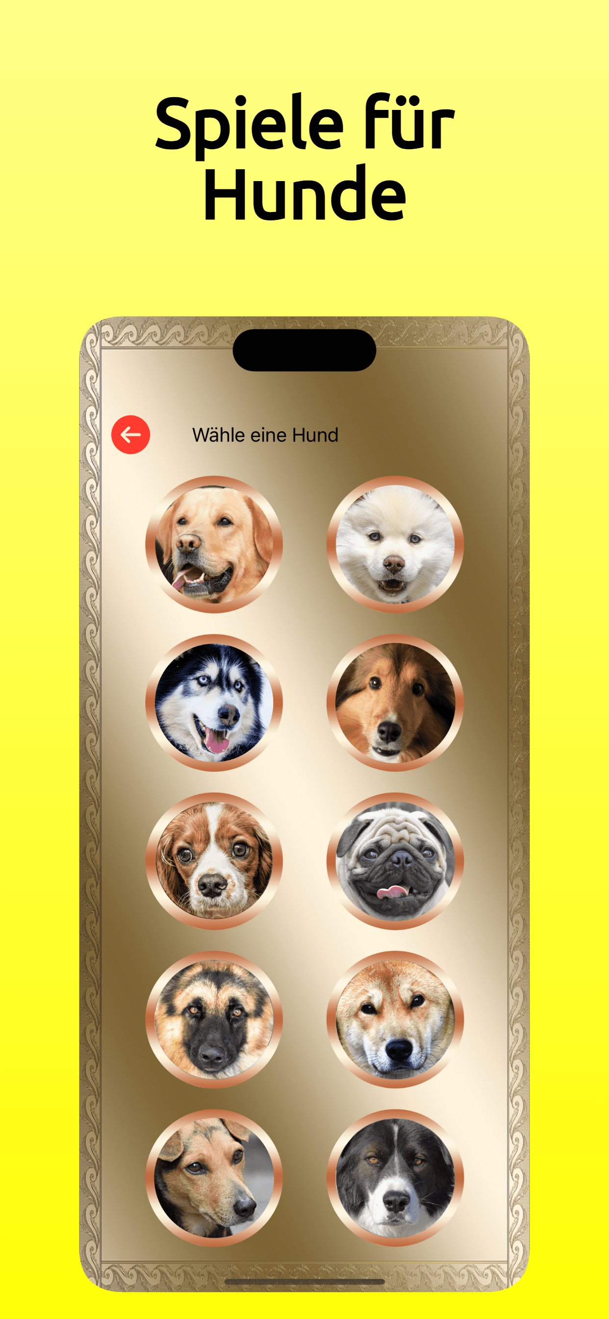 Hunde Übersetzer für Hunde