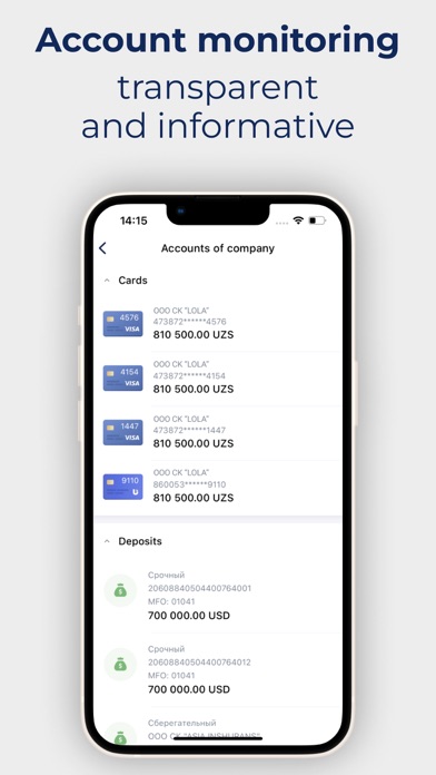 InfinBusiness Screenshot