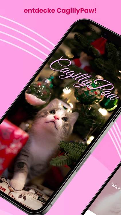 CagillyPaw Katzenwelt