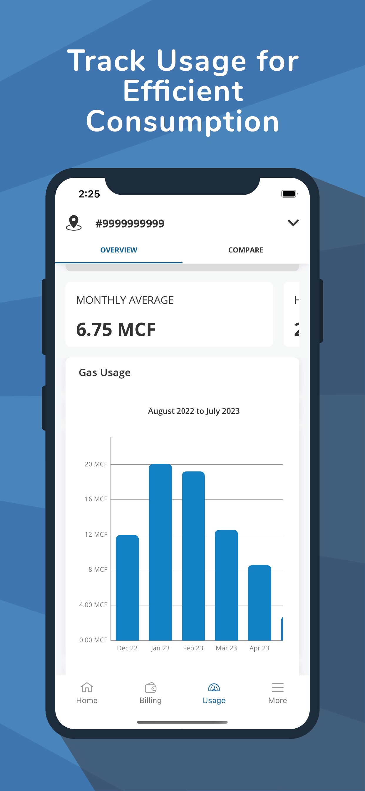 UGI Utilities Account 스크린샷 3