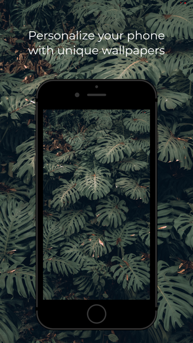 WallHub 4K Wallpapers Screenshot