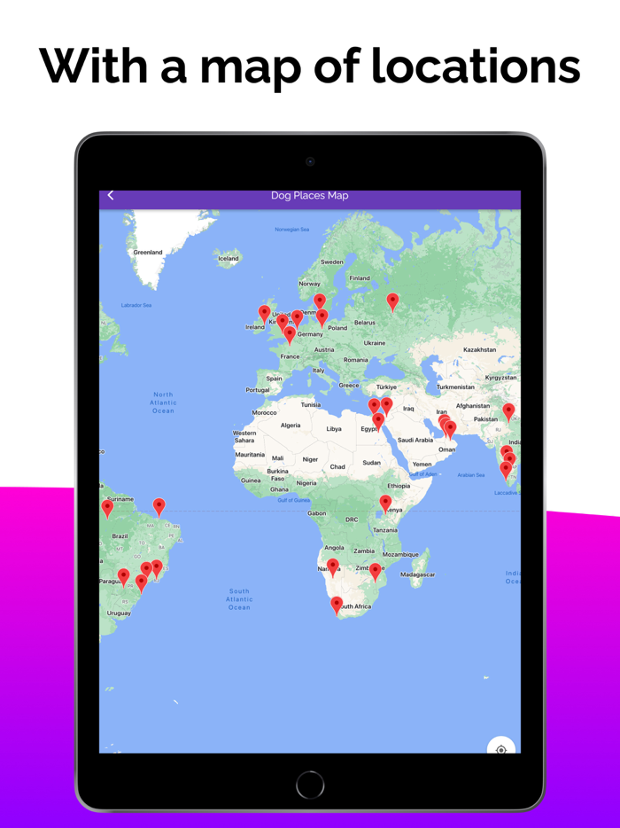 Dog Care Guide Pup Tips and Fun