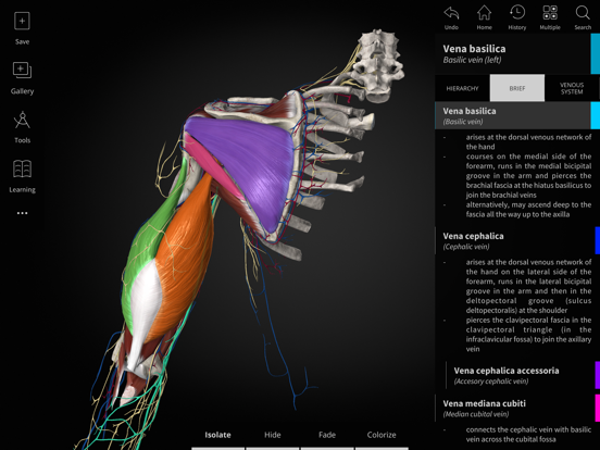 Screenshot #6 pour Anatomyka