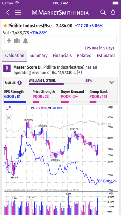 MarketSmith India -Stock Ideas Screenshot