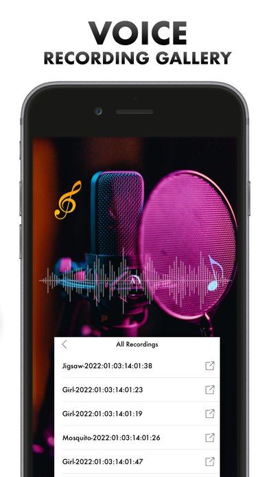 Voice Changer Women Screenshot