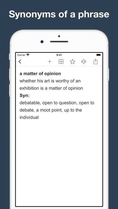 Vocabulary Builder: thesaurus, Screenshot